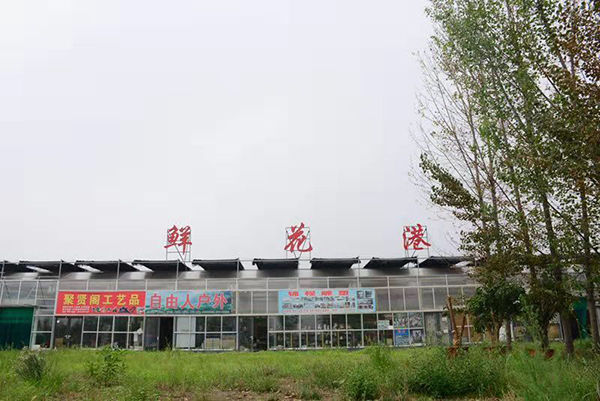 邯鄲北湖農(nóng)業(yè)鮮花港
