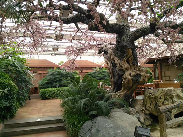 生態(tài)餐廳